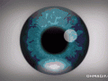 cool-insane-optical-illusion