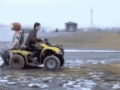 duck-1
