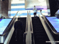 epic-beer-glass-ping-pong-shot-on-the-escalator1
