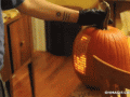 playing-tetris-in-a-pumpkin