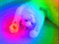 trippycat