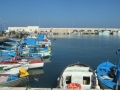 dscf3301