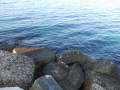 dscf3345