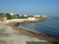 dscf3364