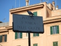 dscf3764
