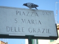 dscf3766
